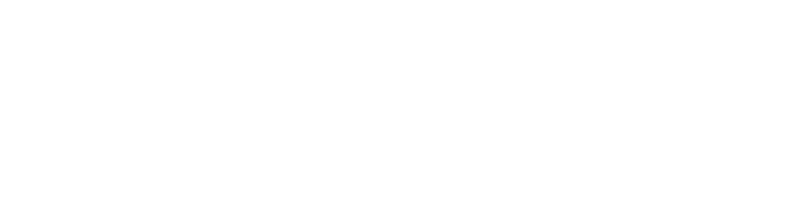 Logo Stagra – klient Castle Digital